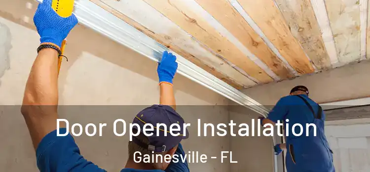 Door Opener Installation Gainesville - FL