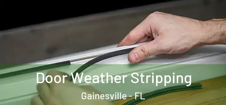 Door Weather Stripping Gainesville - FL