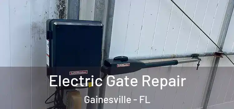 Electric Gate Repair Gainesville - FL