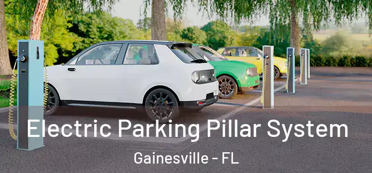 Electric Parking Pillar System Gainesville - FL