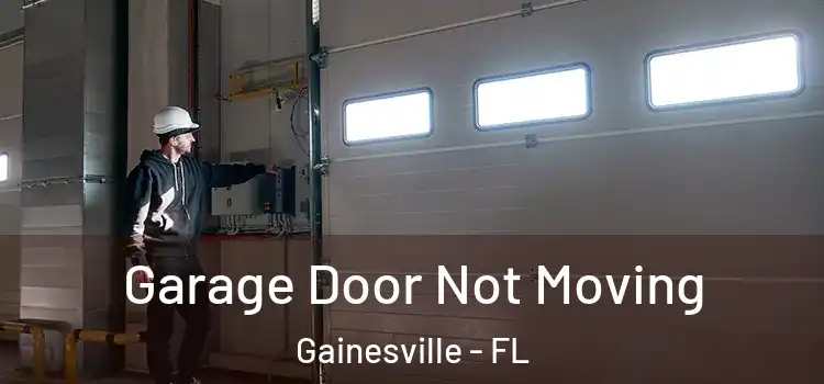  Garage Door Not Moving Gainesville - FL