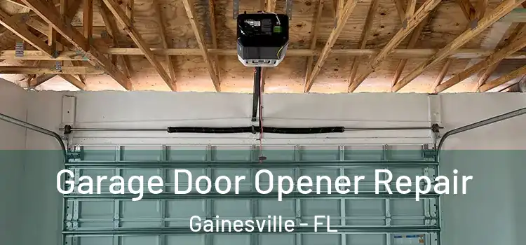  Garage Door Opener Repair Gainesville - FL