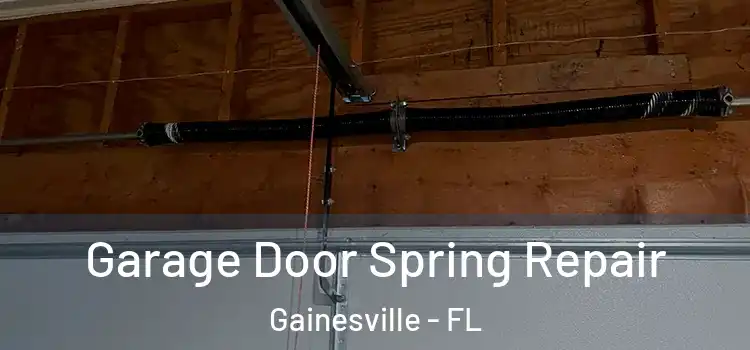  Garage Door Spring Repair Gainesville - FL