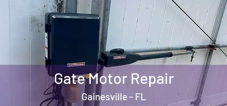 Gate Motor Repair Gainesville - FL
