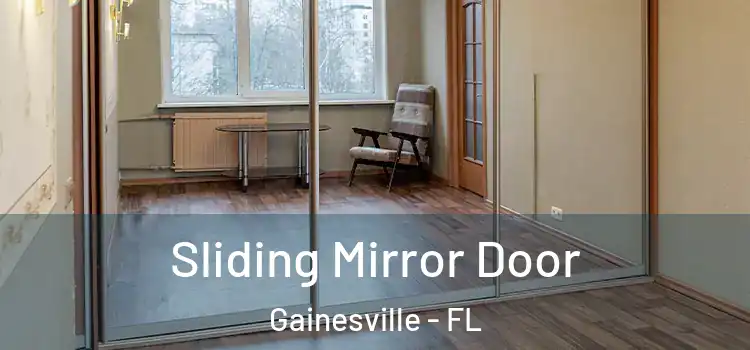  Sliding Mirror Door Gainesville - FL